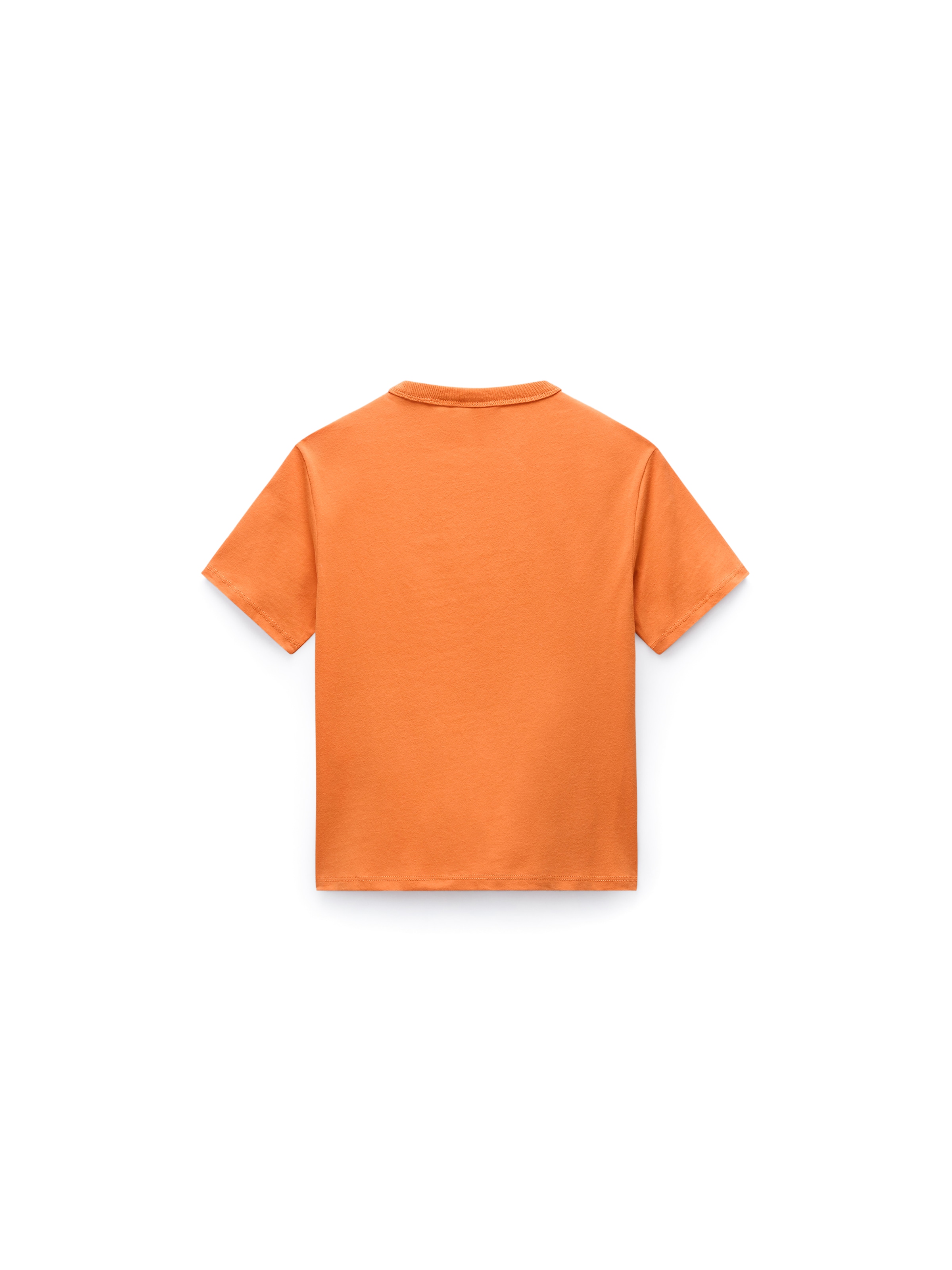 NAPAPIJRI Shirt 'S-Primero' in Orange