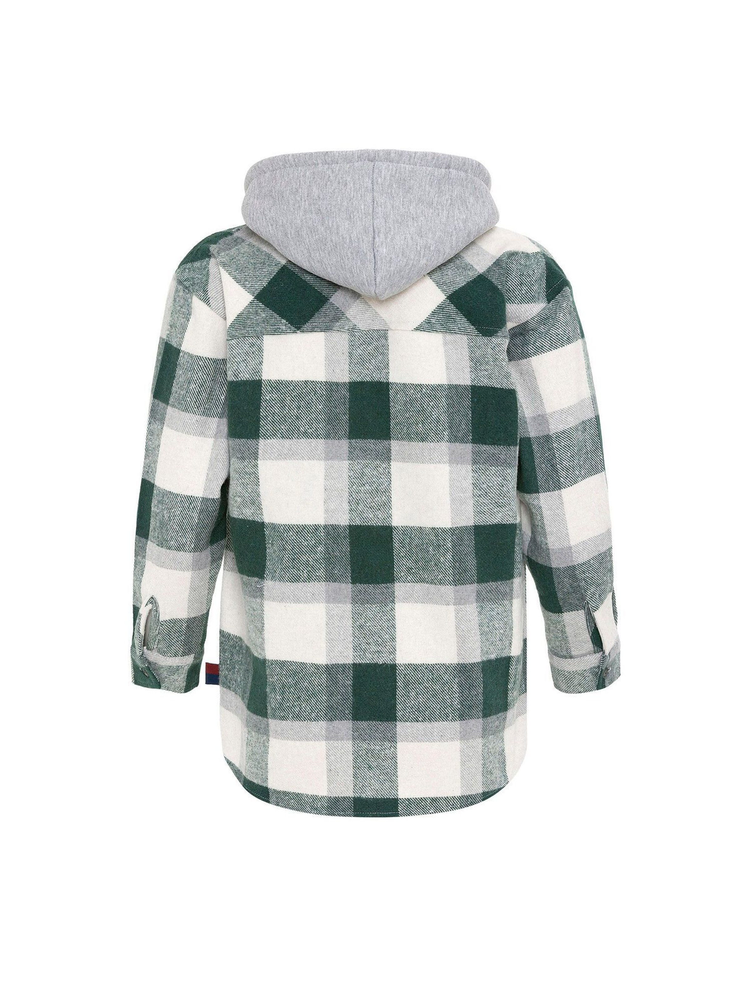 Fit confort Chemise Williot en vert