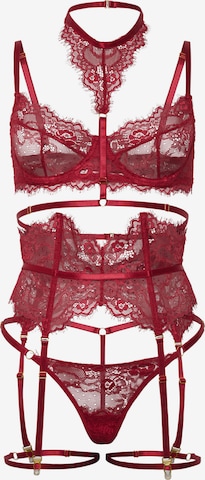 Orchibelle Underwear Sets in Red: front