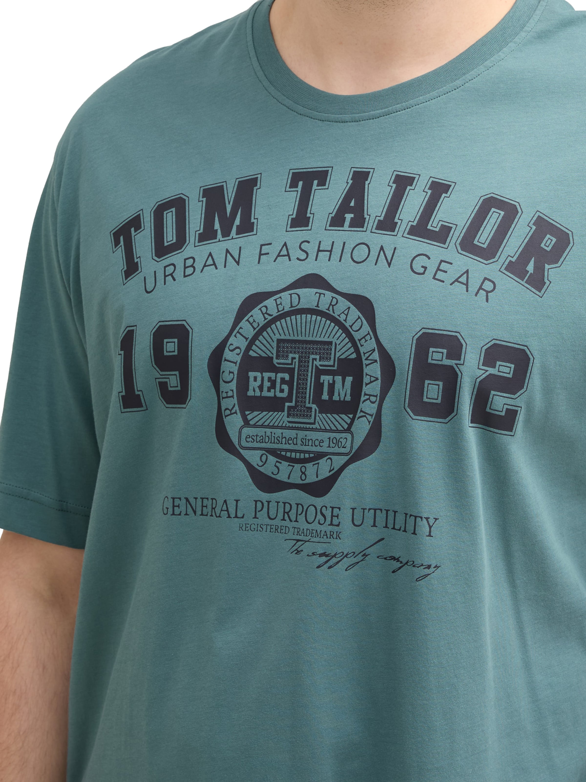TOM TAILOR Men + T-Shirt in Grün