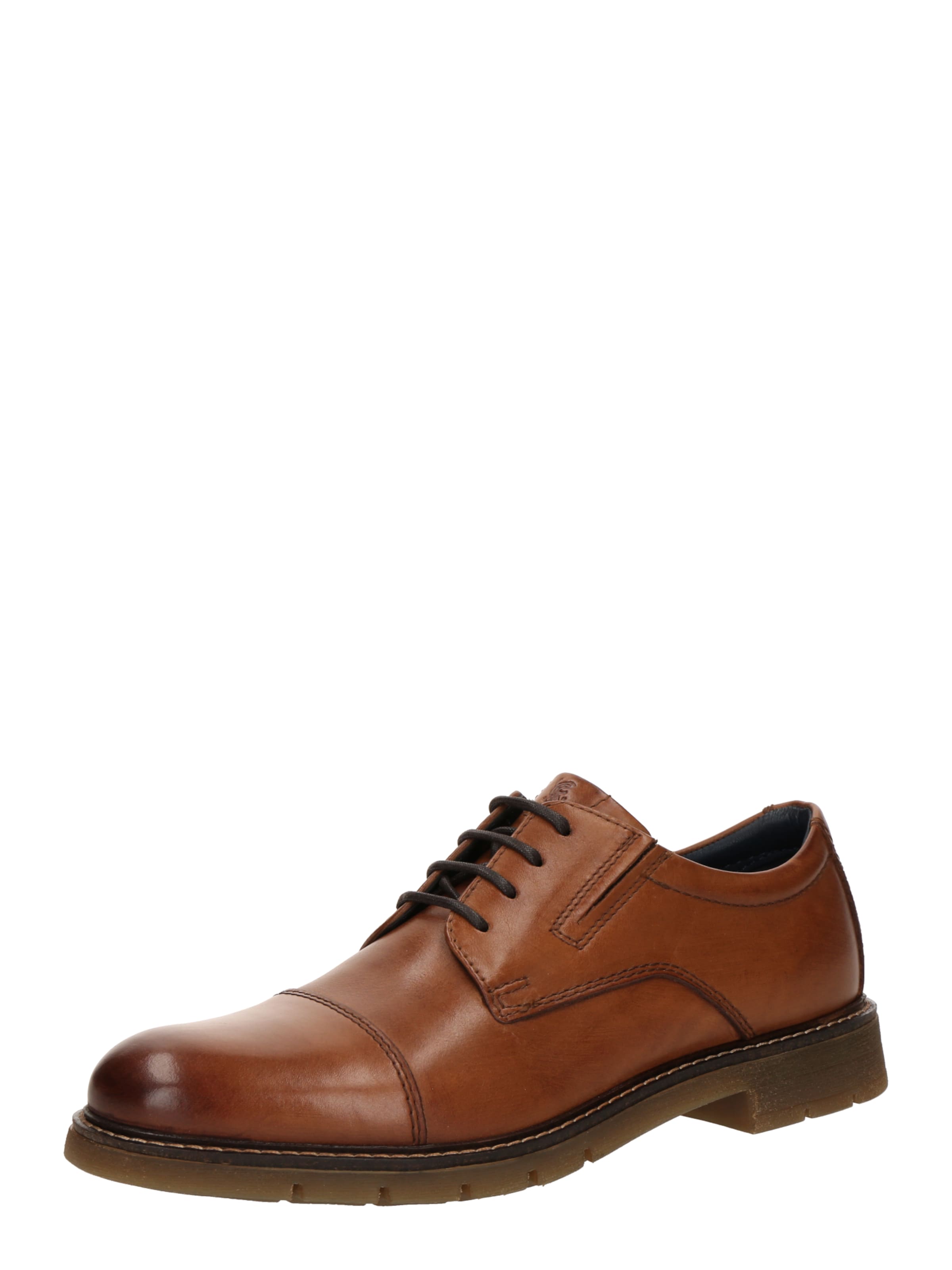 SALAMANDER Lace-up shoe in Brown: front