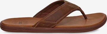 UGG T-Bar Sandals in Brown