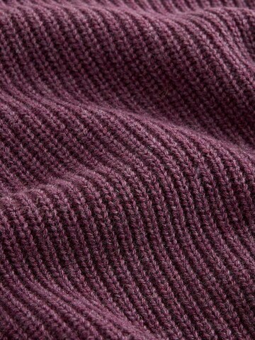 Next Sweater in Purple