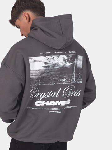 Crystal Paris Sweatshirt 'Laville' in Grey
