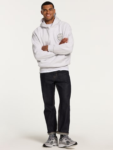 Shiwi Sweatshirt in Grau