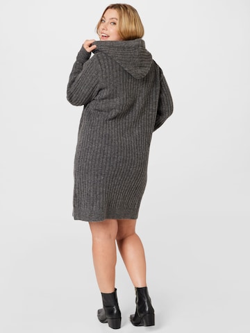 ABOUT YOU Curvy Knitted dress 'Marit' in Grey