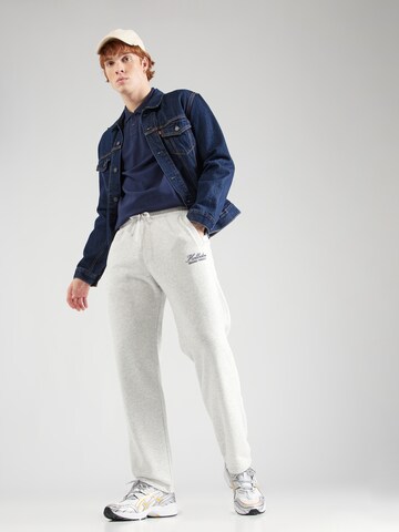 Regular Pantaloni 'APAC' de la HOLLISTER pe gri