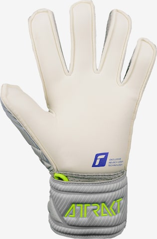 REUSCH Athletic Gloves 'Attrakt' in Grey