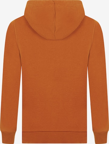 DENIM CULTURE Sweatshirt 'PEDRO' in Orange