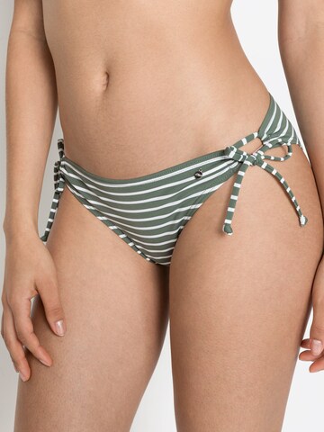 s.Oliver Bikini Bottoms in Green