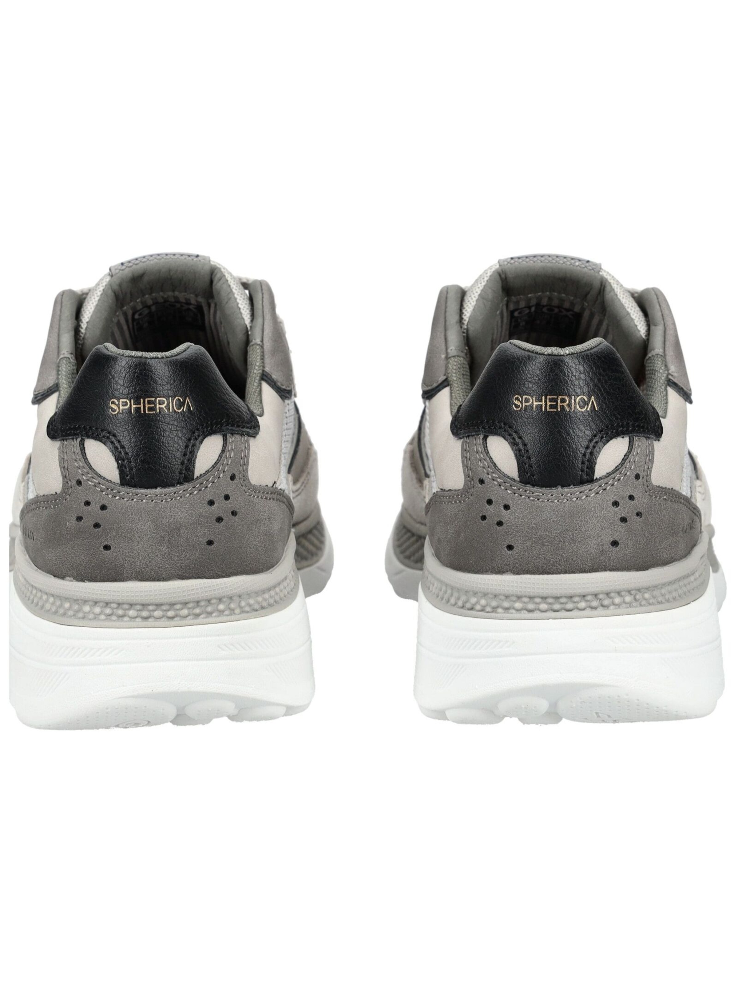 Sneaker bassa di GEOX in grigio