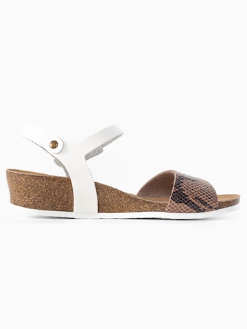 Bayton Remsandal 'Wodonga' i beige