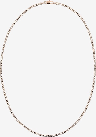 Chaîne 'Figaro' faina en or : devant