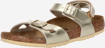 auksinė BIRKENSTOCK Atviri batai 'Rio': priekis