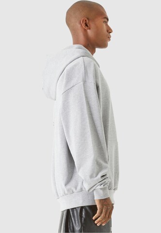 9N1M SENSE Sweatshirt 'Winter Sports' in Grey
