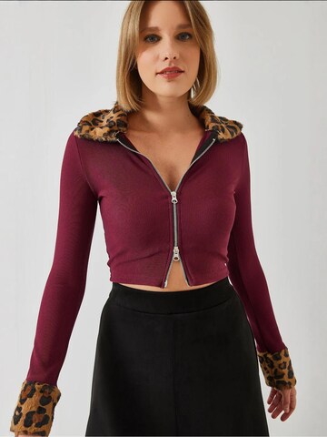 Bianco Lucci Gebreid vest in Rood