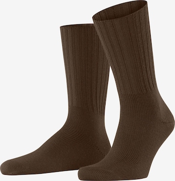 FALKE Socks 'Nelson' in Brown: front