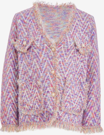 CARNEA Вязаная кофта в Смешанный: спереди