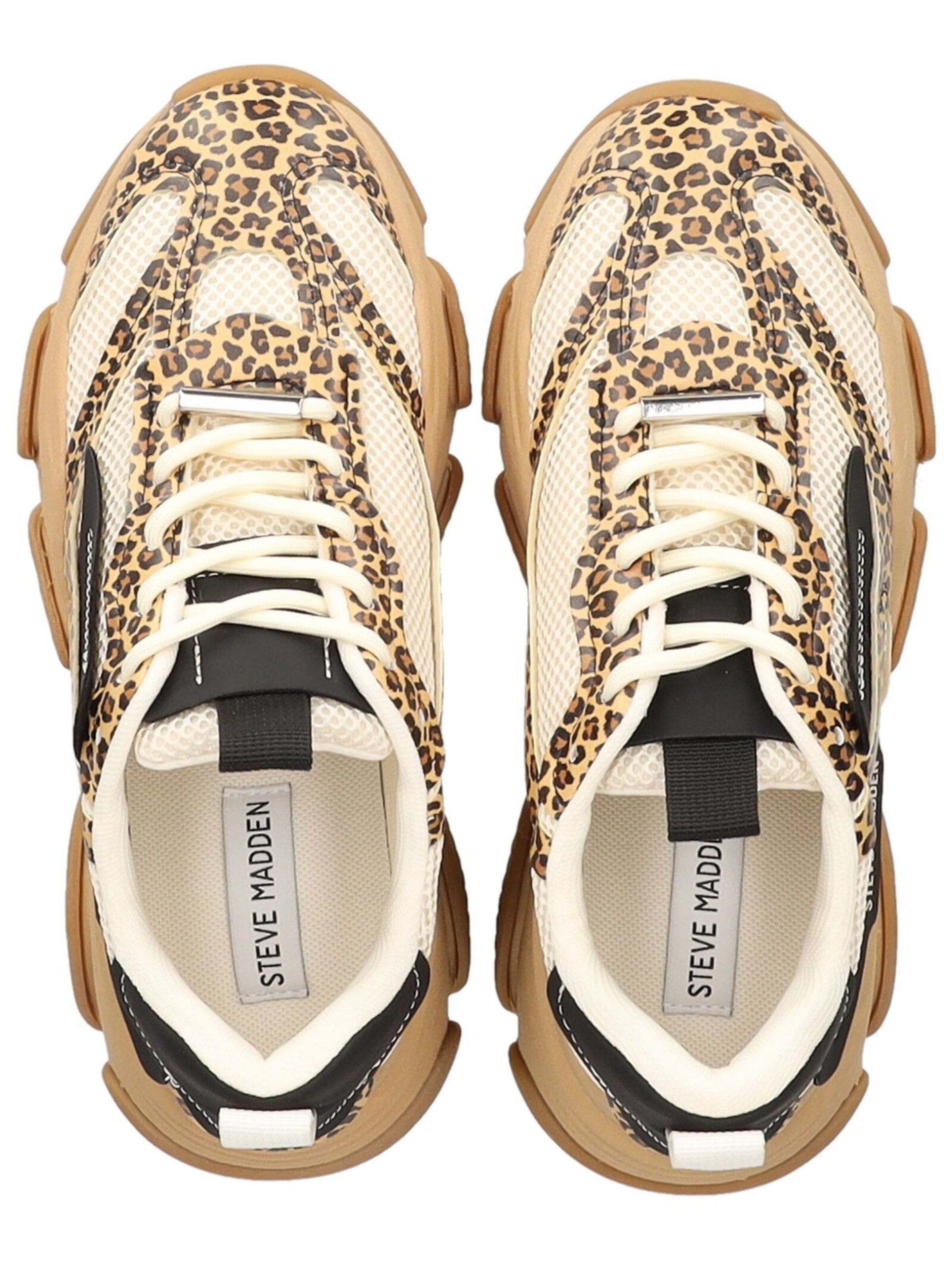 STEVE MADDEN Sneakers laag in Bruin
