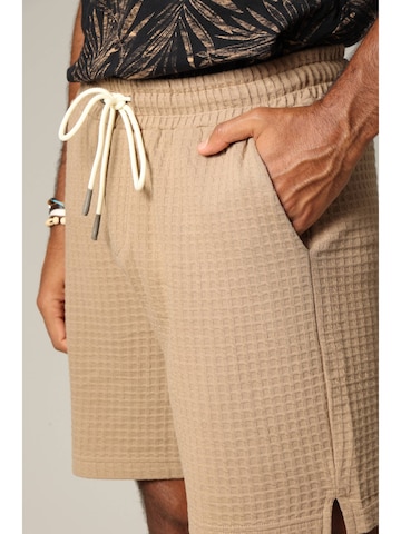 Regular Pantalon ' NOLAN ' Deeluxe en marron