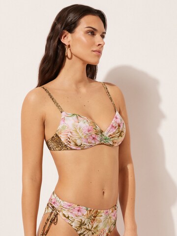 CALZEDONIA Push-up WILD TROPICS in Mischfarben