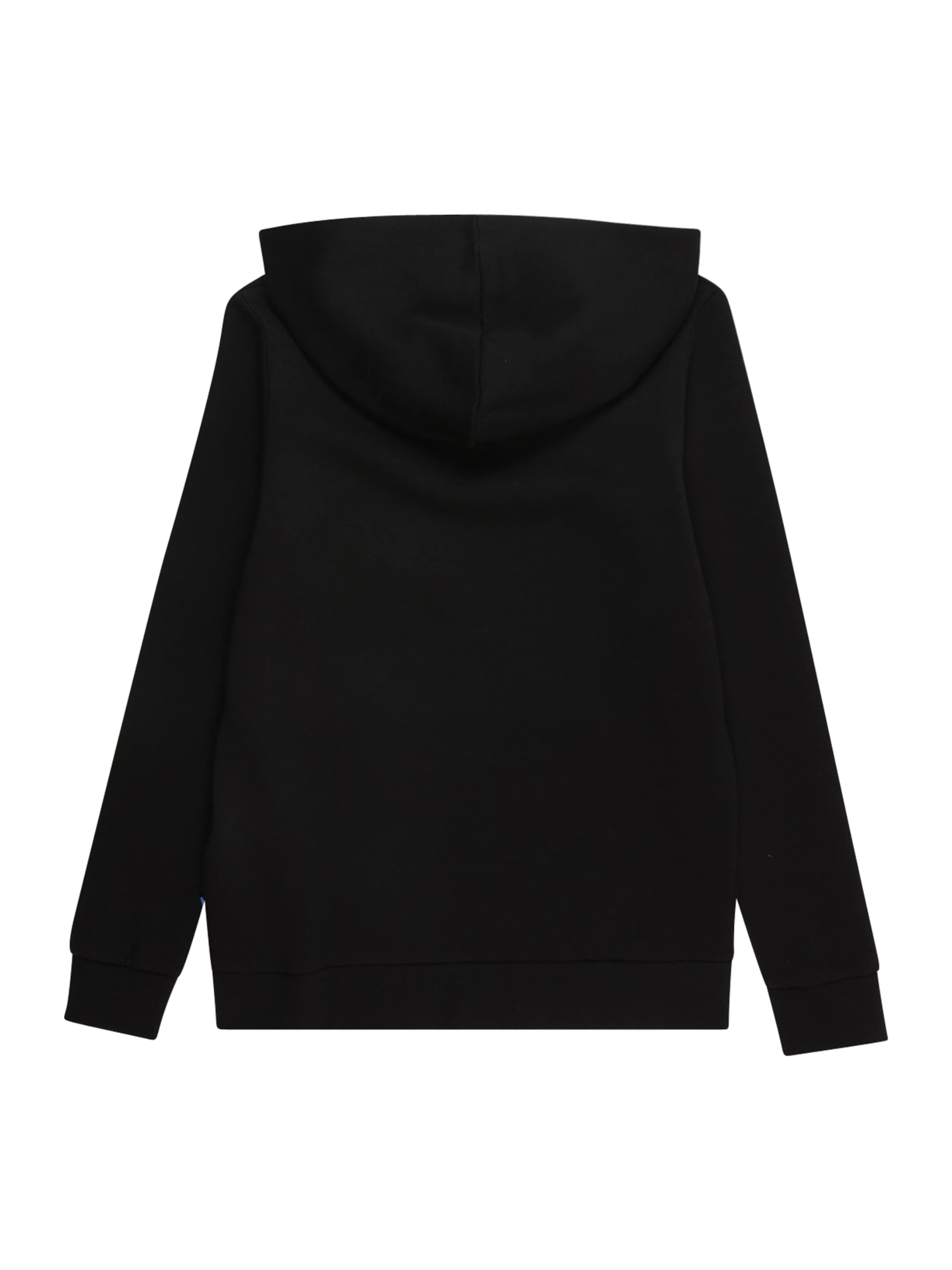 Jack &amp; Jones Junior Regular fit Sweatshirt &#x27;JJECORP&#x27; in Black