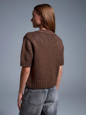 Pullover 'Pullover' di Dilvin in marrone