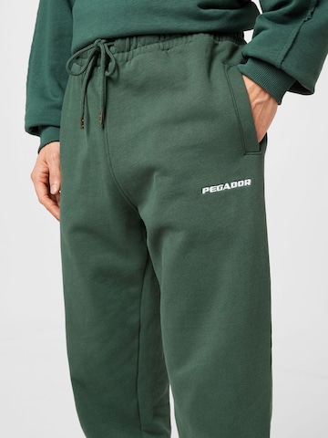Tapered Pantaloni di Pegador in verde