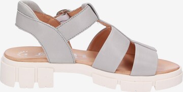 SIOUX Strap Sandals ' Ronila-701 ' in Grey