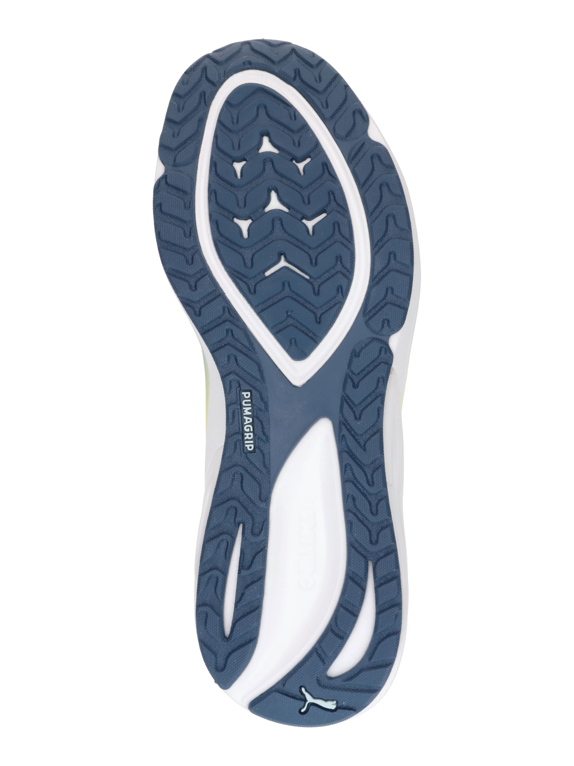 mėlyna PUMA Bėgimo batai 'Electrify Nitro 4'