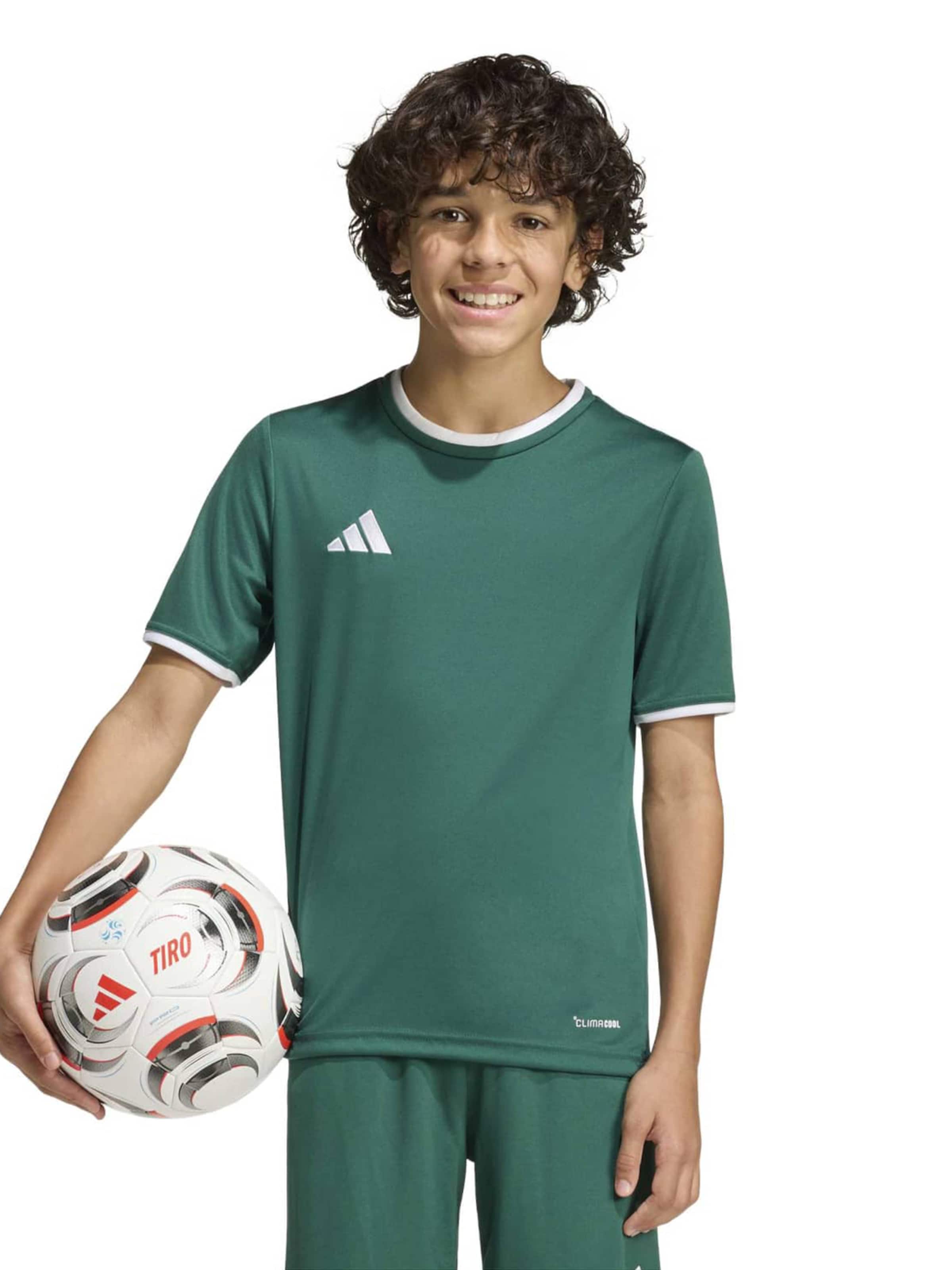 Tricou funcțional 'ENT26' de la ADIDAS PERFORMANCE pe verde