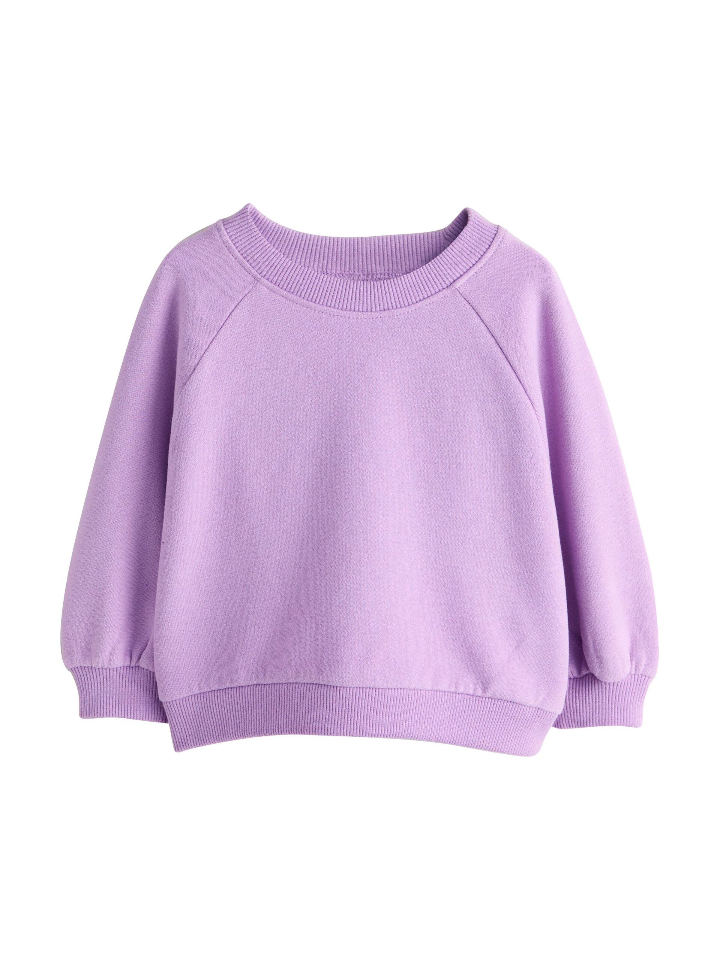 Next Sweatshirt in Lila: Vorderseite