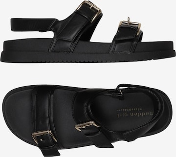 STEVE MADDEN Sandals & High-Heeled Sandals in 39 in Black: front