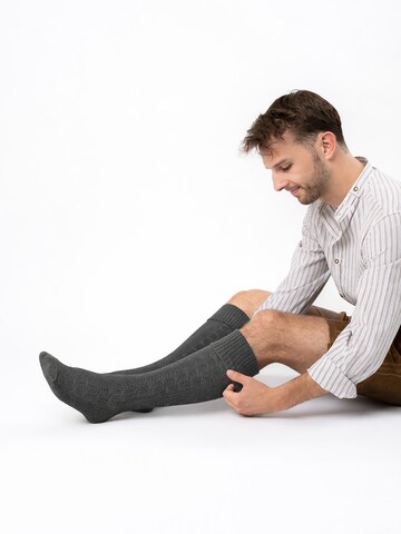 HerzSticht Traditional Socks 'Silberdistel' in Grey