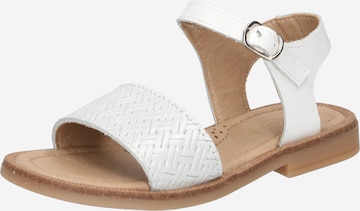 CLARYS Sandals in White: front