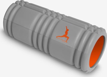 Roues ' TUBE ROLL ' normani en gris : devant