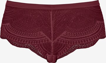 LASCANA Panty in Lila