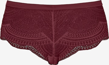 LASCANA Boyshorts in Purple