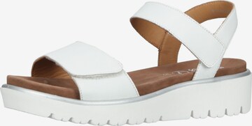 ARA Sandals in White: front