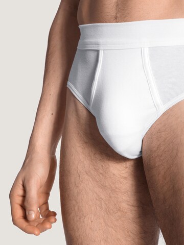 CALIDA Slip 'Cotton 1:1'‌‌‌‌‌‌‌‌‌ in Weiß
