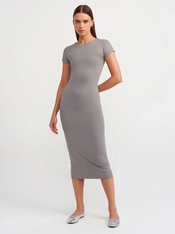 Dilvin Dress in Grey: front