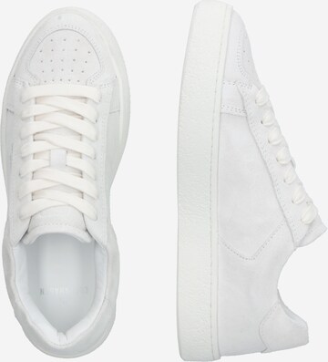 Baskets basses Copenhagen en blanc