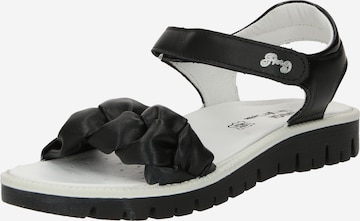 PRIMIGI Sandals in Black: front