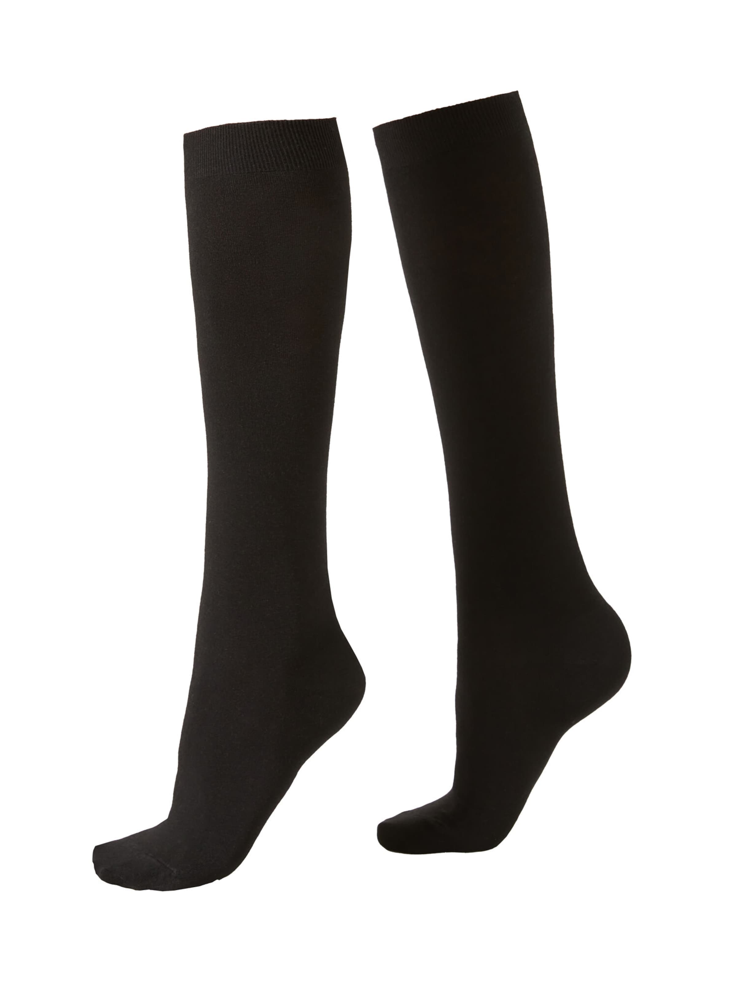 CALZEDONIA Socken in Schwarz: Vorderseite