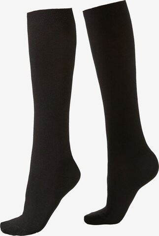 CALZEDONIA Socks in Black: front