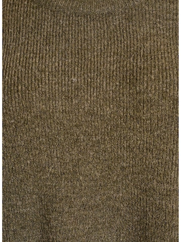 Zizzi Trui 'Cavilma' in Groen