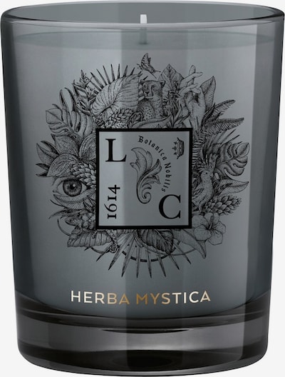 Le Couvent Maison de Parfum Kerze 'Herba Mystica' in weiß, Produktansicht