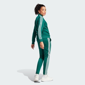 ADIDAS SPORTSWEAR Trainingsanzug 'Essentials' in Grün