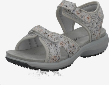 Westland Hiking Sandals 'Olivia 07' in Grey: front