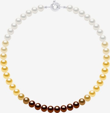 Collana 'MARAIS' di Ateliers Saint Germain in marrone: frontale
